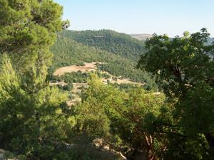 Green hills of Ajloun Nature Reserve